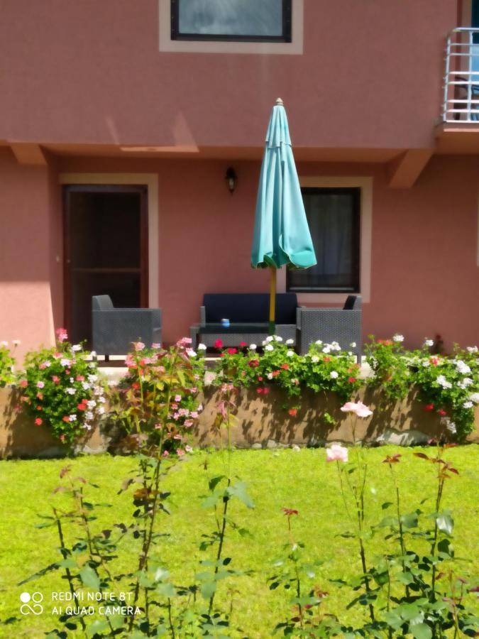 Apartment & Rooms Aleksandar Golubac Ngoại thất bức ảnh