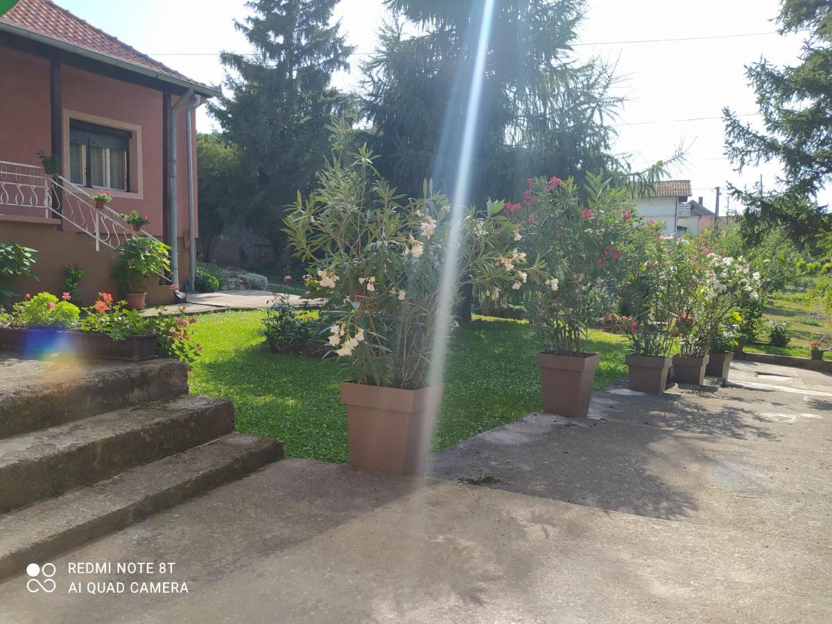 Apartment & Rooms Aleksandar Golubac Ngoại thất bức ảnh