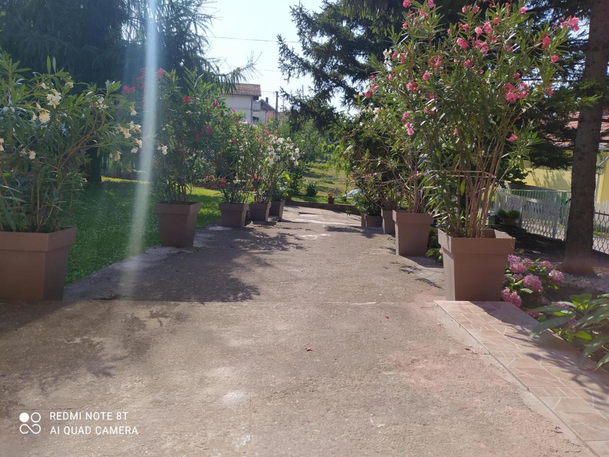 Apartment & Rooms Aleksandar Golubac Ngoại thất bức ảnh